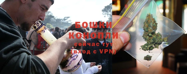 тгк Новозыбков