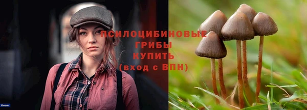 кристаллы Новокубанск