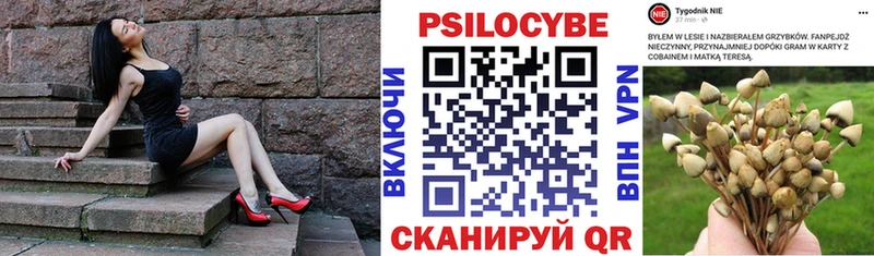 хочу   Верхний Тагил  Псилоцибиновые грибы GOLDEN TEACHER 